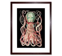 Wall Art Print Granulated Cuttle Octopus Black Art Framed 9x7 inch Artery8 Brown W7 inch x H9 inch