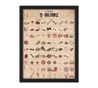 Wall Art Print Kato Chikusai Species of Sea Life Shellfish Japan Large Framed Wall Décor Art Artery8 Light Oak W18 inch x H24 inch