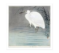 Wall Art Print Koson Ohara Little Egret Bird Japan Woodcut Square Framed Picture 16X16 Inch Artery8 White W16 inch x H16 inch