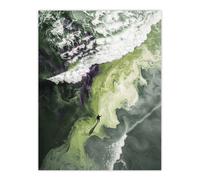 Wall Art Print Lone Figure Abstract Beach Shore Waves Aerial Poster Artery8 Green W24 inch x H32 inch