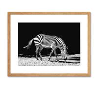 Wall Art Print Lone Zebra BW Framed Artery8 Beige W7 inch x H9 inch