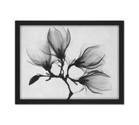 Wall Art Print Magnolia Branch X-Ray Large Framed Wall Décor Art Artery8 Brown W18 inch x H24 inch