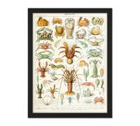 Wall Art Print Millot Encyclopedia Page Crustaceans Lobster Large Framed Wall Décor Art Artery8 White W18 inch x H24 inch