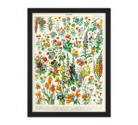 Wall Art Print Millot Encyclopedia Page Flowers Plants Large Framed Wall Décor Art Artery8 Black W18 inch x H24 inch