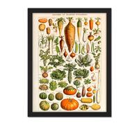 Wall Art Print Millot Encyclopedia Page Vegetables Legumes Large Framed Wall Décor Art Artery8 Black W18 inch x H24 inch