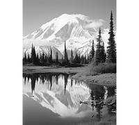Wall Art Print Mount McKinley Reflecting on Wonder Lake Tranquil Water Black and White Photograph Scenic Mountain Valley Landscape Poster Artery8 Grey W24 inch x H32 inch