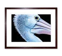 Wall Art Print Nahum Pelican Head Close Up Framed Artery8 Brown W7 inch x H9 inch
