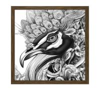Wall Art Print Pencil Drawing Peacock Portrait Study Black White Square Framed Picture 16X16 Inch Artery8 Brown W16 inch x H16 inch