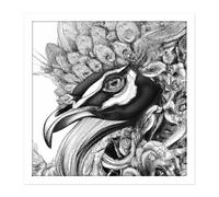 Wall Art Print Pencil Drawing Peacock Portrait Study Black White Square Framed Picture 16X16 Inch Artery8 White W16 inch x H16 inch