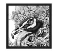 Wall Art Print Pencil Drawing Peacock Portrait Study Black White Square Framed Picture 16X16 Inch Artery8 Black W16 inch x H16 inch