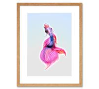 Wall Art Print Siamese Fighting Fish Pink Framed Artery8 Beige W7 inch x H9 inch
