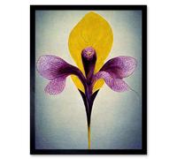 Wall Art Print Simple Elegant Single Orchid Purple Yellow Art Framed Artery8 Black W12 inch x H16 inch