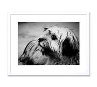 Wall Art Print Terrier Dog Black and White Photo Art Black Framed 9x7 inch Artery8 White W7 inch x H9 inch