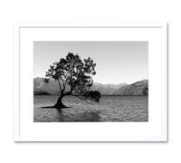 Wall Art Print The Lone Tree Lake Wanaka Art Black Framed 9x7 inch Artery8 White W7 inch x H9 inch