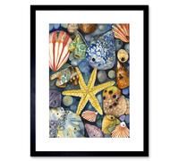 Wall Art Print The Rock Pool Seaside Clams Starfish Bathroom Artwork Framed 9X7 Inch Artery8 Black W7 inch x H9 inch