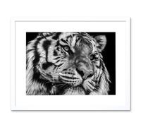 Wall Art Print Tiger Close Up Photograph Art Framed 9x7 inch Artery8 White W7 inch x H9 inch