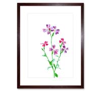 Wall Art Print Vintage Bright Botanicals Virginian Stock Framed Artery8 Brown W7 inch x H9 inch
