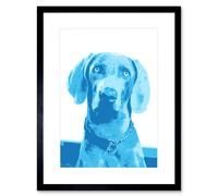 Wall Art Print Weimaraner Blue Dog Framed Artery8 Black W7 inch x H9 inch