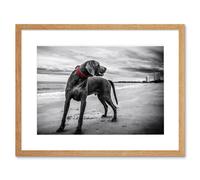 Wall Art Print Weimaraner Dog Beach BW Framed Artery8 Beige W7 inch x H9 inch