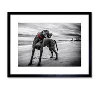 Wall Art Print Weimaraner Dog Beach BW Framed Artery8 Black W7 inch x H9 inch