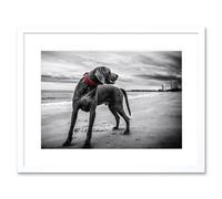 Wall Art Print Weimaraner Dog Beach BW Framed Artery8 White W7 inch x H9 inch