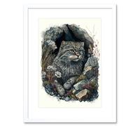 Wall Art Print Wild Cat in Rock Cavity with Wildflowers Detailed Watercolour Artwork Framed 9X7 Inch Artery8 White W7 inch x H9 inch