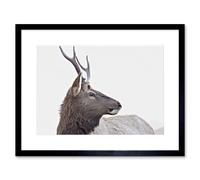 Wall Art Print Young Elk Deer Framed Artery8 Black W7 inch x H9 inch