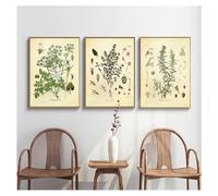 Wall Art,Set of 3-Poster Parsley Sage Rosemary Thyme Culinary Wall Art Picture Canvas Painting Kitchen Office Room Decor Spices Herbs Print Vintage Botanical-40 * 50cm/16 * 20inch(Unframed)