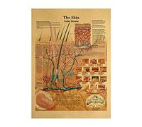 Wall Art,Wall Decor,The Human Body Structure Hd Vintage Paper Poster,Bar Decor Painting,Hospital Clinic Decoration Painting,For Room Aesthetic Vintage-50X70Cm