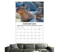Wall Calendar 13 2026-2027 | Personal Planner for Managing the Capibara Theme - Calendar 13 January 2026 to January 2027 | For Home School Offices Classroom Meeting Room Study
