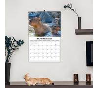 Wall Calendar2026-2027 - 13-Month Large Planner, Premium Anti-Ink Paper Calendar, Capybara Theme Monthly Wall Calendarwith Julian Dates | organiserr for Home, Office, School, Classroom
