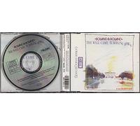 Wall came tumbling down (Special Dance Version, 1989)