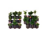 (Wall Cascade) Vertical Standing Garden Flower Pots Cascade Balcony Anthracite Plant Wall
