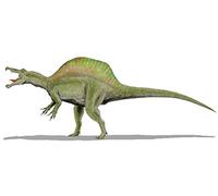 Wall Decal Sticker Dino Dinosaur Jurassic Deco Children Room Spinosaurus