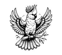 Wall Decals Elegant and Detailed Cockatoo Bird Vibrant feathe Art 42x46.3cm It Won't Fall Off Black