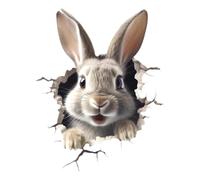 Wall Decals for Kids Bedroom - Rabbit Wall Sticker Decor, Bird Animal Wall Decoration, Wall Art Decals Nursery Animal Decor, Cute Cartoon Rabbit Sticker, Kids Playroom Decoration for Bedroom & Window