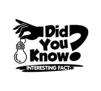 Wall Decals Paster Paper did You Know Interesting fact 36x51.2cm Window Decals Black