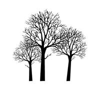 Wall Decals Paster Paper Trees Forest Beautiful 54x57.6cm Removable Without Leaving Glue Large Black