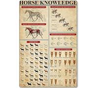 Wall Deccoration Horse Knowledge Metal Sign Horse Unplaning Infographic Tin Poster School Farm Home Kitchen Home Decoration Retro Plaque 12x8inches