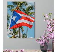 Wall Decor For Living Room Large Canvas Wall Art For Bedroom Modern Office Pictures Wall Artwork Puerto Rico Flags Frog Palm Trees Landscape Paintings Canvas Art Prints Home Decorations 18x24inch(46x6