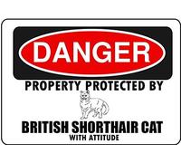 Wall Decor Man Cave Bar British Shorthair Cat Parking Only For Hazard House Decor Yard Caution Noticefunny Signs Funny Vintage Metal Sign Poster 8X12 Inches