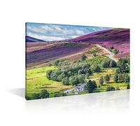 Wall Decoration for Living Room Scottish Highlands Cairngorms National Park Wall Art Lecht Ski Resort Scotland Home Decor 1 Piece Bedroom Decor Framed Ready to Hang Posters and Prints(16''Wx 24''H)
