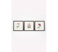 Wall Decoration Set of 3 Frames with Picture, Roses Homescapes Multi One Size