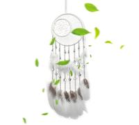 Wall Decoration with Feathers - Circular Dream Catcher, Native American Handmade Hanging Net | Colorful Bohemian Ornament for Kids, Girls, Boys, Nursery Room,