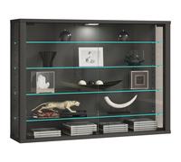Wall display cabinet Glass display case Vitrosa L