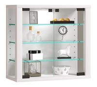 Wall Display Case Hanging Glass Display Case Wall Display Case Glass Vitrosa S