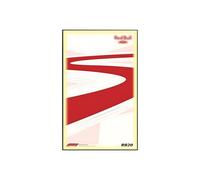 Wall Display Frame Compatible with for le-go-a 42206 Technic F1 RB20 - Racing Car Wallboard Showcase, Gift for Model Collectors(No Model) (Light model)