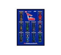 Wall Display Photo Frame Wall Plate Compatible with Lego 77242-77251 F1 Series Cars,for Collecting and Protecting,23.6 x 31.5 inches (Model not Included) (Style D(Austrian Raceway))