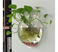 Wall Fish Bowl Wall Fish Bubble Hanging Clear Acrylic Betta Fish For Wall Mounted Aquarium Wall Plant Pot Planter Aquariums Tanks