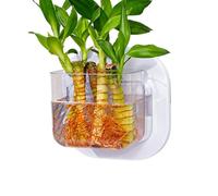 Wall Fish Tank | Small Wall-Mounted Aquarium Bowl | Transparent Decorative Flower Pot | Compact Hanging Fish Tank For Bedroom, Kitchen, Apartment, And Dormitory Decor